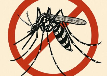 Dengue Prevention Tips Every Family Should Know