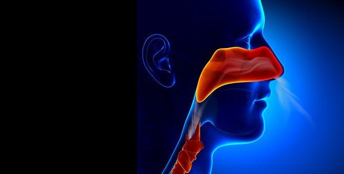 Sinus Problems During Weather Change: Causes, Symptoms & Effective Prevention Tips